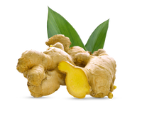 Ginseng Extract