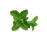 Stevia